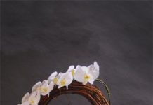 Ngày 3 Tháng 8