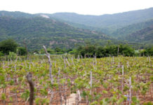 Ngày 12 Tháng Chín