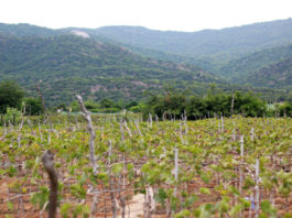 Ngày 12 Tháng Chín