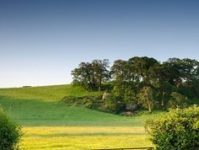 Ngày 17 Tháng Chín