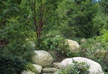 Suy niệm cùng cha E-ma. Tháng 11 ngày 24