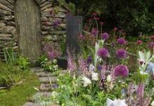 Suy niệm cùng cha E-ma. Tháng 11 ngày 07