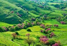 Suy niệm cùng cha E-ma. Tháng 11 ngày 18