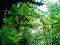 Suy niệm cùng cha E-ma. Tháng 11 ngày 20