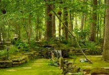 Suy niệm cùng cha E-ma. Tháng 11 ngày 03