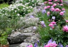 Suy niệm cùng cha E-ma. Tháng 11 ngày 02