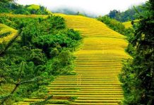 Suy niệm cùng cha E-ma. Tháng 11 ngày 28