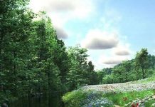 Suy niệm cùng cha E-ma. Tháng 11 ngày 29