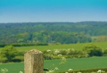 Suy niệm cùng cha E-ma. Tháng 11 ngày 06