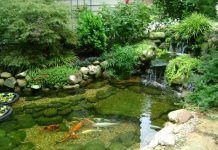 Suy niệm cùng cha E-ma. Tháng 12 ngày 7