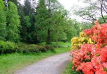 Suy niệm cùng cha E-ma. Tháng 12 ngày 16