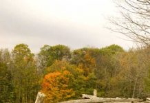 Suy niệm cùng cha E-ma. Tháng 12 ngày 24