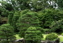 Suy niệm cùng cha E-ma. Tháng 12 ngày 02