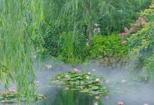 Suy niệm cùng cha E-ma. Tháng 12 ngày 27