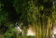 Suy niệm cùng cha E-ma. Tháng 12 ngày 29