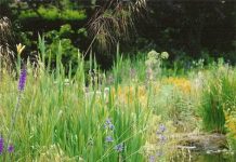 Suy niệm cùng cha E-ma. Tháng 12 ngày 30