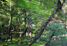 Suy niệm cùng cha E-ma. Tháng 01 ngày 01