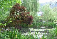 Suy niệm cùng cha E-ma. Tháng 12 ngày 31