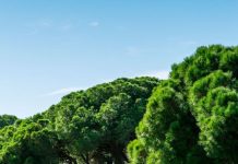 Suy niệm cùng cha E-ma. Tháng 01 ngày 04