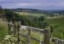 Suy niệm cùng cha E-ma. Tháng 12 ngày 18