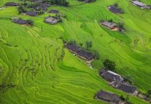 Suy niệm cùng cha E-ma. Tháng 12 ngày 14