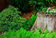 Suy niệm cùng cha E-ma. Tháng 12 ngày 20