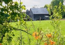 Suy niệm cùng cha E-ma. Tháng 12 ngày 23