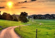 Suy niệm cùng cha E-ma. Tháng 12 ngày 17