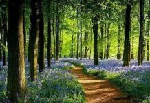 Suy niệm cùng cha E-ma. Tháng 02 ngày 10