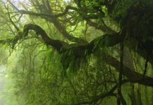 Suy niệm cùng cha E-ma. Tháng 03 ngày 22