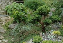 Suy niệm cùng cha E-ma. Tháng 02 ngày 02