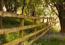 Suy niệm cùng cha E-ma. Tháng 01 ngày 30