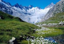 Suy niệm cùng cha E-ma. Tháng 02 ngày 08