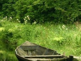 Suy niệm cùng cha E-ma. Tháng 03 ngày 13