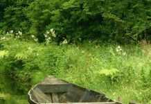 Suy niệm cùng cha E-ma. Tháng 01 ngày 08