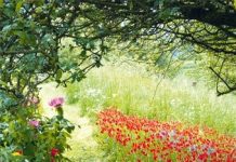 Suy niệm cùng cha E-ma. Tháng 02 ngày 14