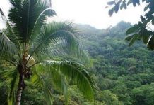 Suy niệm cùng cha E-ma. Tháng 02 ngày 01