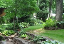 Suy niệm cùng cha E-ma. Tháng 02 ngày 07