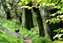 Suy niệm cùng cha E-ma. Tháng 01 ngày 15