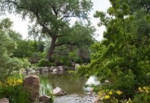 Suy niệm cùng cha E-ma. Tháng 03 ngày 20