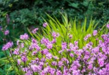 Suy niệm cùng cha E-ma. Tháng 3 ngày 28