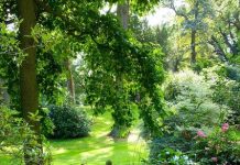 Suy niệm cùng cha E-ma. Tháng 3 ngày 31