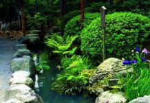 Suy niệm cùng cha E-ma. Tháng 02 ngày 21