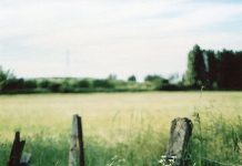 Suy niệm cùng cha E-ma. Tháng 02 ngày 17