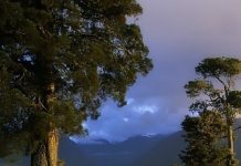 Suy niệm cùng cha E-ma. Tháng 02 ngày 19