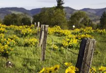 Suy niệm cùng cha E-ma. Tháng 01 ngày 10