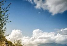 Suy niệm cùng cha E-ma. Tháng 01 ngày 19