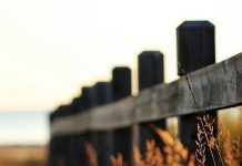 Suy niệm cùng cha E-ma. Tháng 01 ngày 13