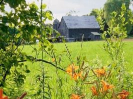 Suy niệm cùng cha E-ma. Tháng 01 ngày 21