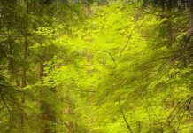 Suy niệm cùng cha E-ma. Tháng 02 ngày 03